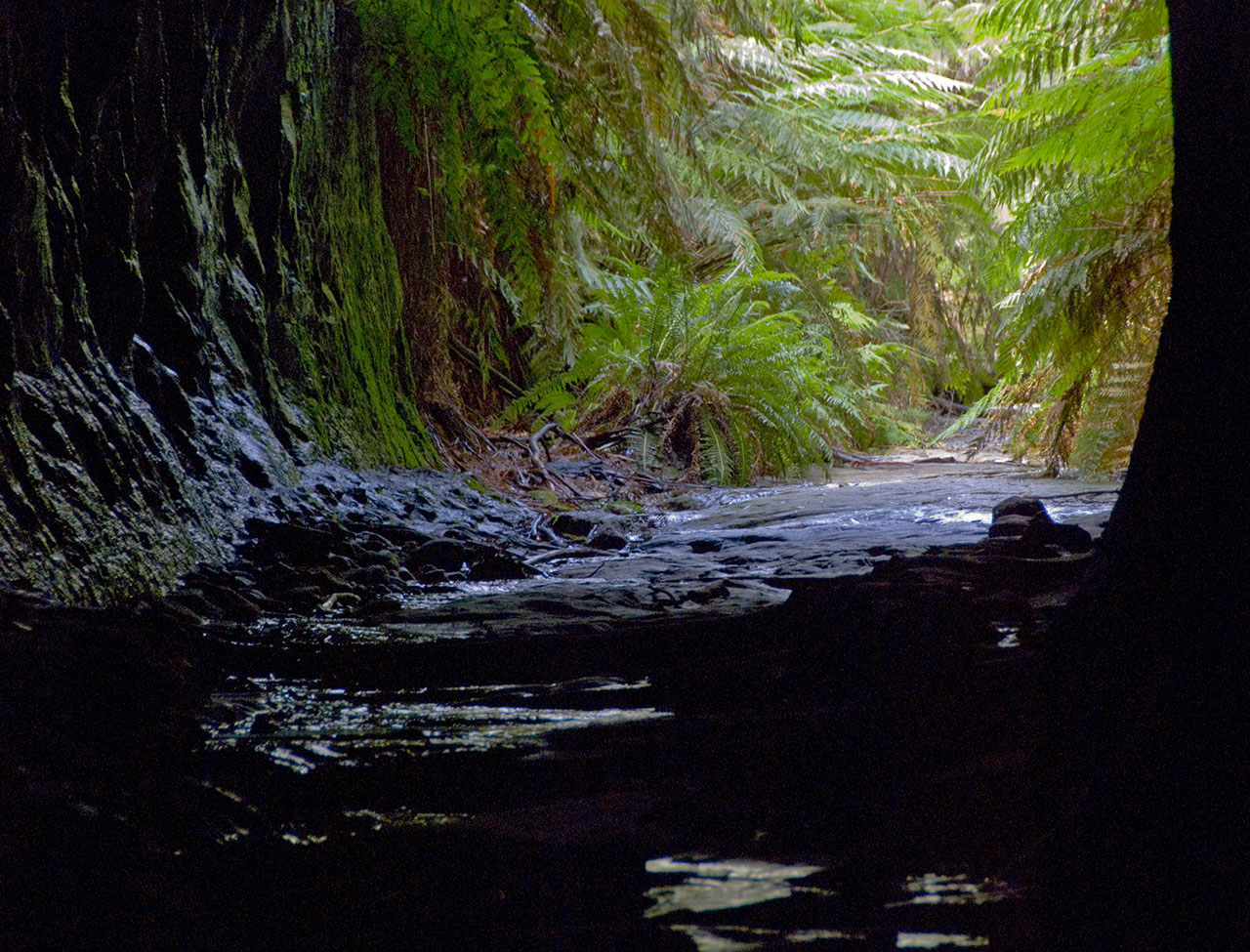 New South Wales - Blue Mtns