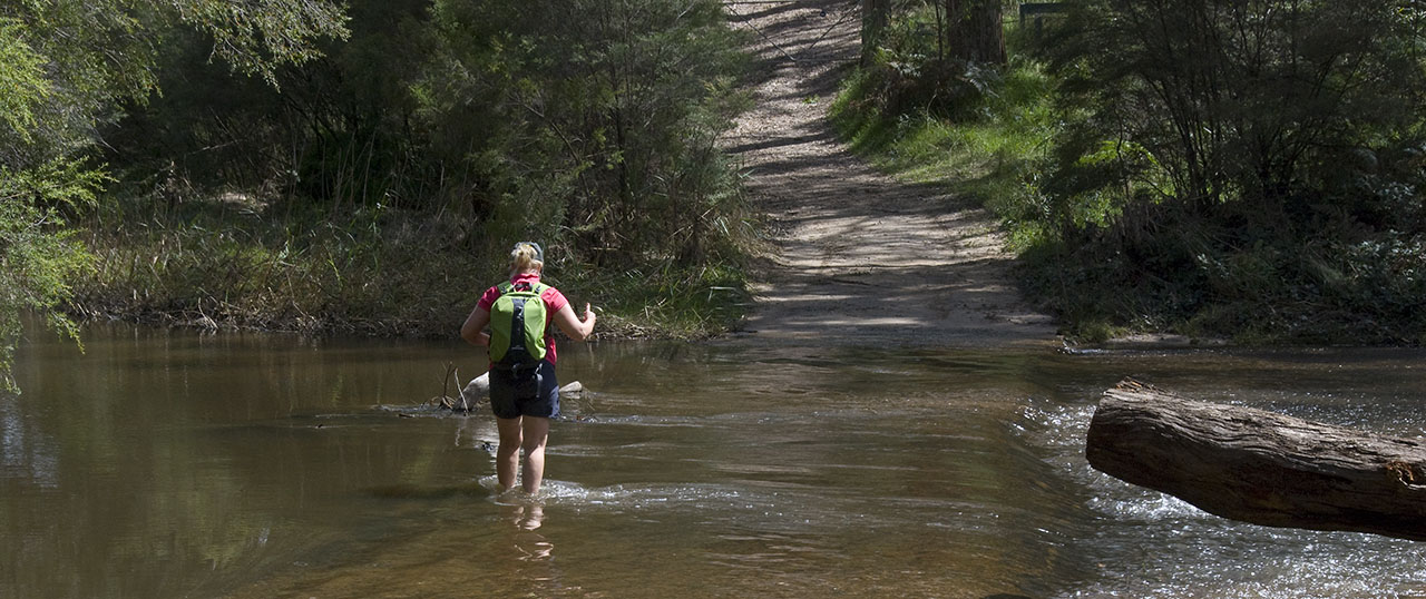 New South Wales - Blue Mtns