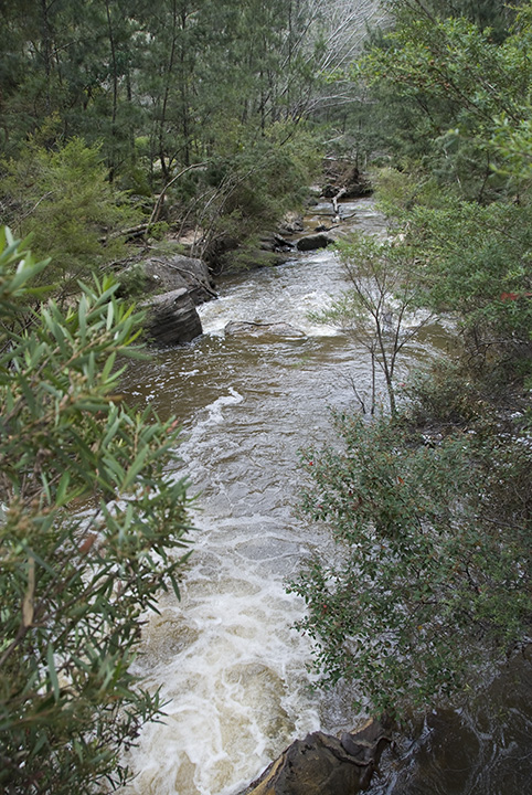 New South Wales - Blue Mtns