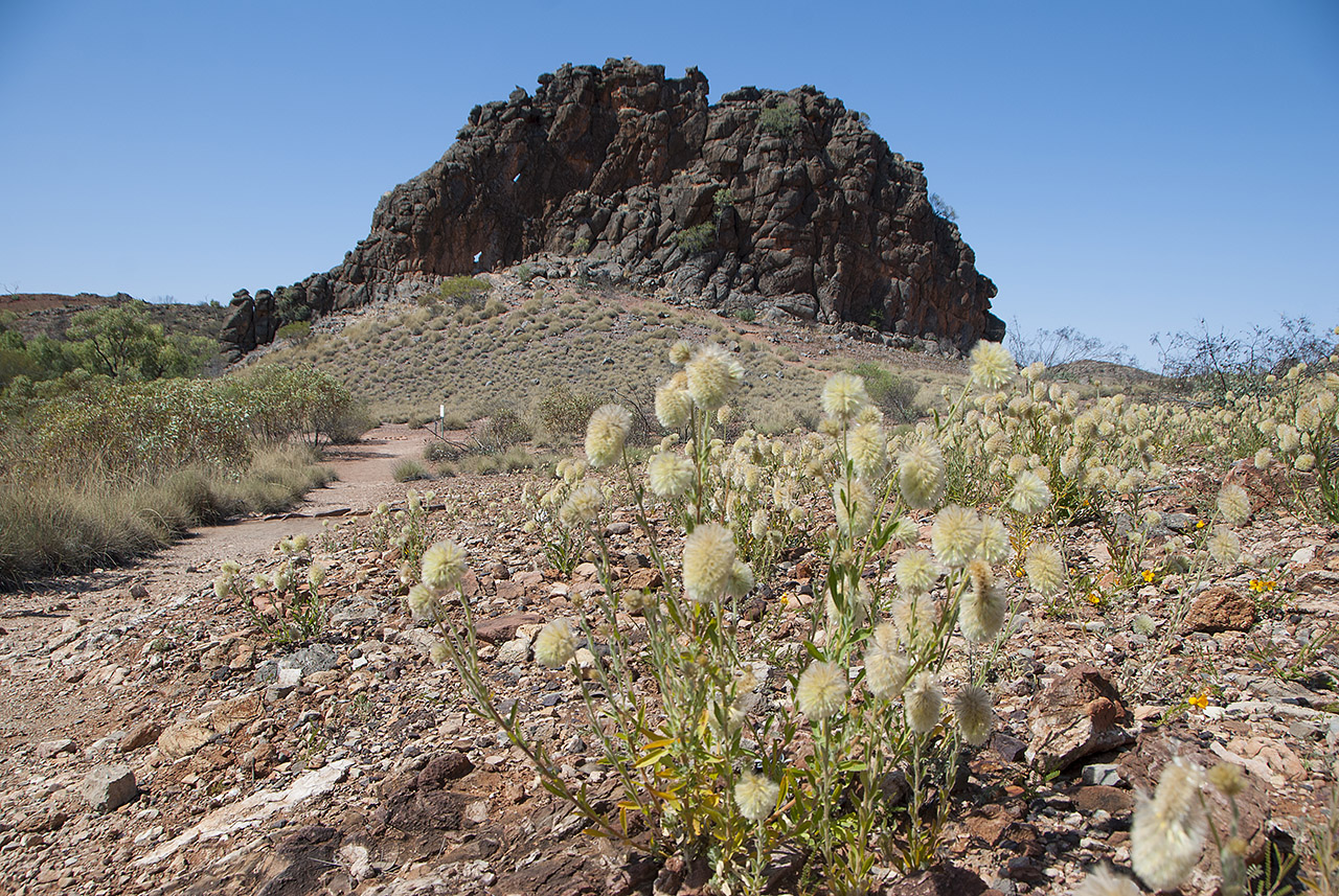 Northern Territory
